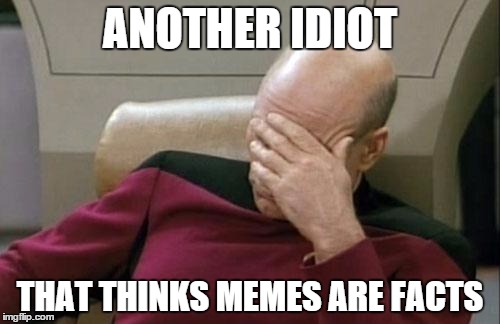 For those that try to state facts using memes | ANOTHER IDIOT; THAT THINKS MEMES ARE ​FACTS | image tagged in memes,captain picard facepalm | made w/ Imgflip meme maker