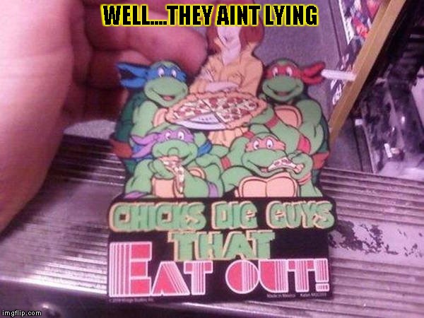 funny tmnt | WELL....THEY AINT LYING | image tagged in tmnt,sign,funny,memes,sticker | made w/ Imgflip meme maker