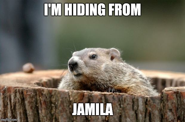 Groundhog | I'M HIDING FROM; JAMILA | image tagged in groundhog | made w/ Imgflip meme maker