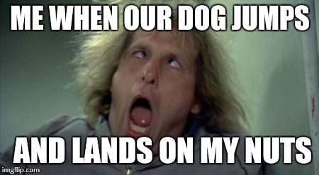 Scary Harry Meme | ME WHEN OUR DOG JUMPS; AND LANDS ON MY NUTS | image tagged in memes,scary harry | made w/ Imgflip meme maker