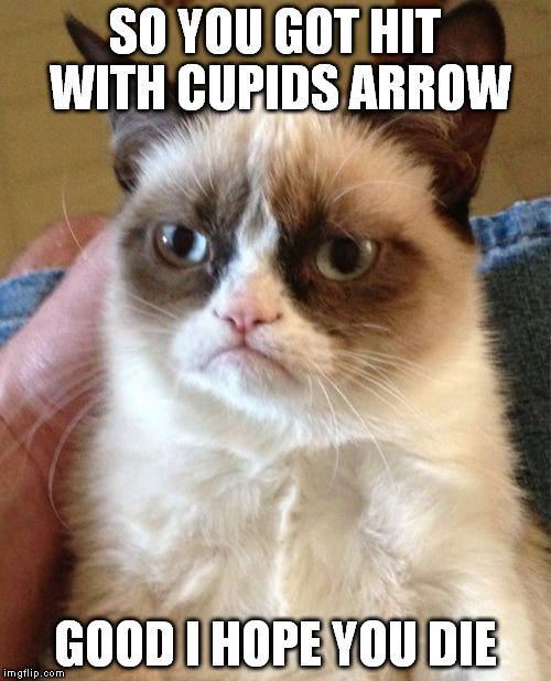 Grumpy Cat | SO YOU GOT HIT WITH CUPIDS ARROW; GOOD I HOPE YOU DIE | image tagged in memes,grumpy cat | made w/ Imgflip meme maker