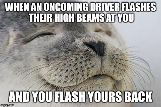 Satisfied Seal | WHEN AN ONCOMING DRIVER FLASHES THEIR HIGH BEAMS AT YOU; AND YOU FLASH YOURS BACK | image tagged in memes,satisfied seal | made w/ Imgflip meme maker