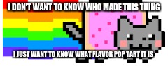 I DON'T WANT TO KNOW WHO MADE THIS THING; I JUST WANT TO KNOW WHAT FLAVOR POP TART IT IS | image tagged in memes | made w/ Imgflip meme maker