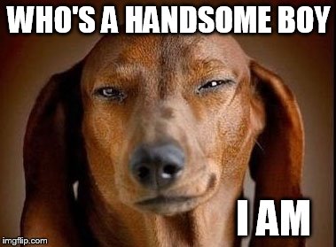 WHO'S A HANDSOME BOY I AM | made w/ Imgflip meme maker