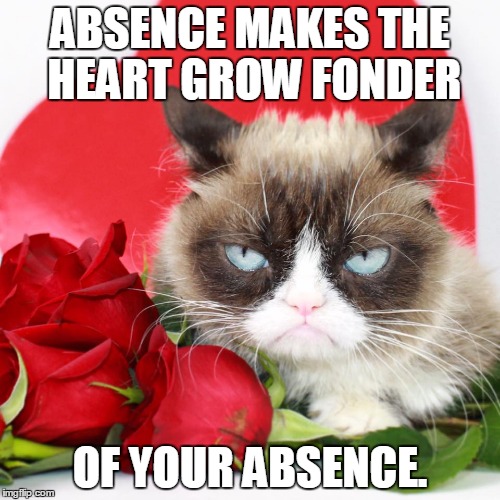 Grumpy cat | ABSENCE MAKES THE HEART GROW FONDER; OF YOUR ABSENCE. | image tagged in grumpy cat | made w/ Imgflip meme maker