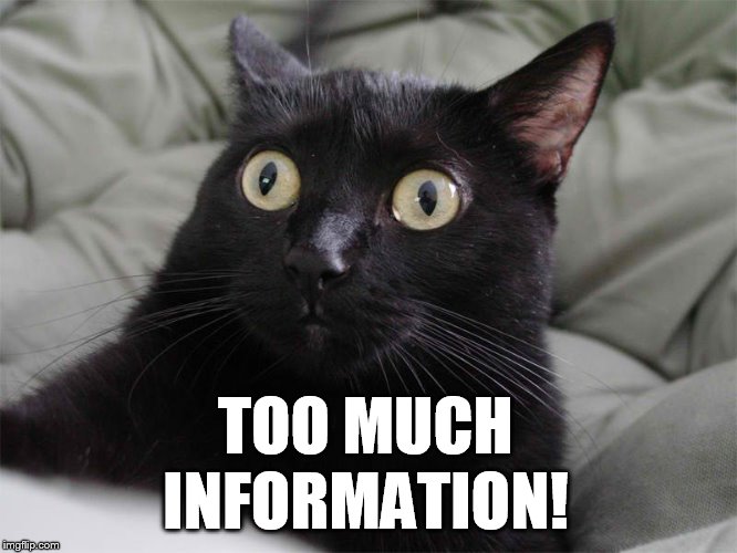 startled cat | INFORMATION! TOO MUCH | image tagged in startled cat | made w/ Imgflip meme maker