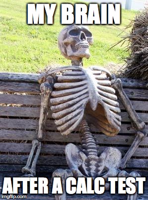 Waiting Skeleton Meme | MY BRAIN; AFTER A CALC TEST | image tagged in memes,waiting skeleton | made w/ Imgflip meme maker
