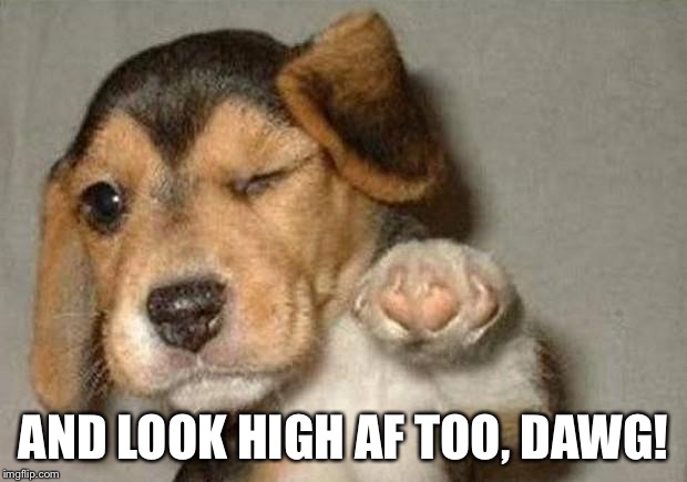 AND LOOK HIGH AF TOO, DAWG! | made w/ Imgflip meme maker