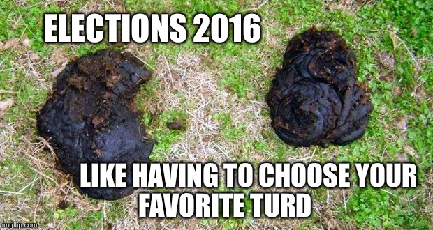 Who's with me here? | ELECTIONS 2016; LIKE HAVING TO CHOOSE YOUR FAVORITE TURD | image tagged in having to choose,election 2016 | made w/ Imgflip meme maker