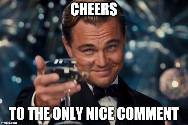 Leonardo Dicaprio Cheers Meme | CHEERS TO THE ONLY NICE COMMENT | image tagged in memes,leonardo dicaprio cheers | made w/ Imgflip meme maker