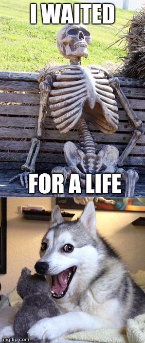 me every day | I WAITED; FOR A LIFE | image tagged in bad pun dog,waiting skeleton,very punny | made w/ Imgflip meme maker