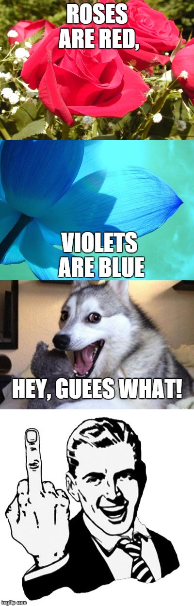 ROSES ARE RED, VIOLETS ARE BLUE; HEY, GUEES WHAT! | image tagged in roses are red,violets are blue,hey guess what,i really love you | made w/ Imgflip meme maker