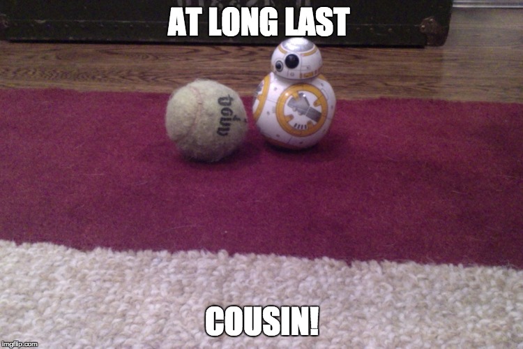 Cousins! | AT LONG LAST; COUSIN! | image tagged in cousins | made w/ Imgflip meme maker
