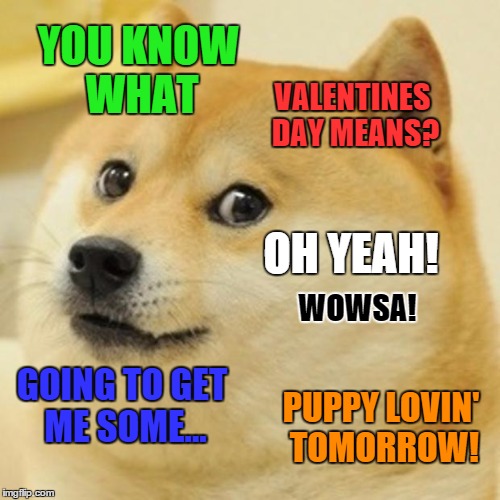 Valentine Love | YOU KNOW WHAT; VALENTINES DAY MEANS? OH YEAH! WOWSA! GOING TO GET ME SOME... PUPPY LOVIN' TOMORROW! | image tagged in memes,doge | made w/ Imgflip meme maker