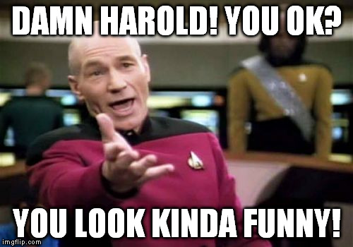 Picard Wtf Meme | DAMN HAROLD! YOU OK? YOU LOOK KINDA FUNNY! | image tagged in memes,picard wtf | made w/ Imgflip meme maker