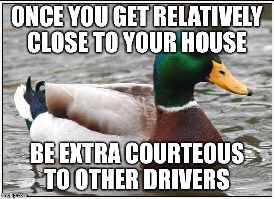 Actual Advice Mallard Meme | ONCE YOU GET RELATIVELY CLOSE TO YOUR HOUSE; BE EXTRA COURTEOUS TO OTHER DRIVERS | image tagged in memes,actual advice mallard | made w/ Imgflip meme maker