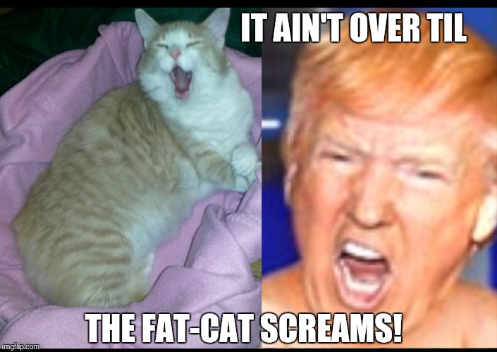 IT AIN'T OVER TIL | IT AIN'T OVER TIL; THE FAT-CAT SCREAMS! | image tagged in donald trump,trump,fat-cat,cat,election,election 2016 | made w/ Imgflip meme maker