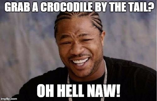 i ain't no dumbdee! | GRAB A CROCODILE BY THE TAIL? OH HELL NAW! | image tagged in memes,yo dawg heard you,funny memes | made w/ Imgflip meme maker