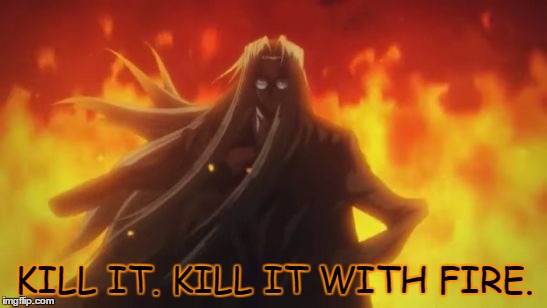 Integra Hellsing Fire | KILL IT. KILL IT WITH FIRE. | image tagged in integra hellsing fire | made w/ Imgflip meme maker