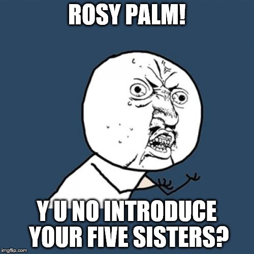 Y U No Meme | ROSY PALM! Y U NO INTRODUCE YOUR FIVE SISTERS? | image tagged in memes,y u no | made w/ Imgflip meme maker