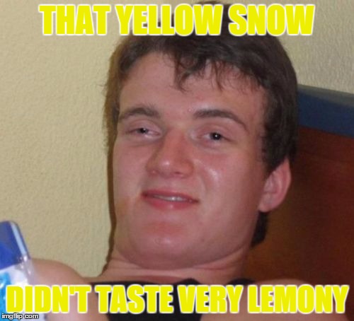 10 Guy | THAT YELLOW SNOW; DIDN'T TASTE VERY LEMONY | image tagged in memes,10 guy,yellow snow,lemon | made w/ Imgflip meme maker