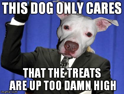 THIS DOG ONLY CARES THAT THE TREATS ARE UP TOO DAMN HIGH | made w/ Imgflip meme maker