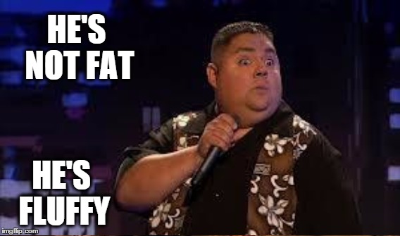 HE'S NOT FAT HE'S FLUFFY | made w/ Imgflip meme maker