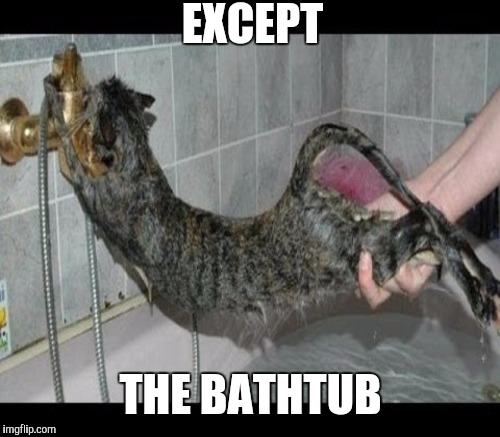 EXCEPT THE BATHTUB | made w/ Imgflip meme maker