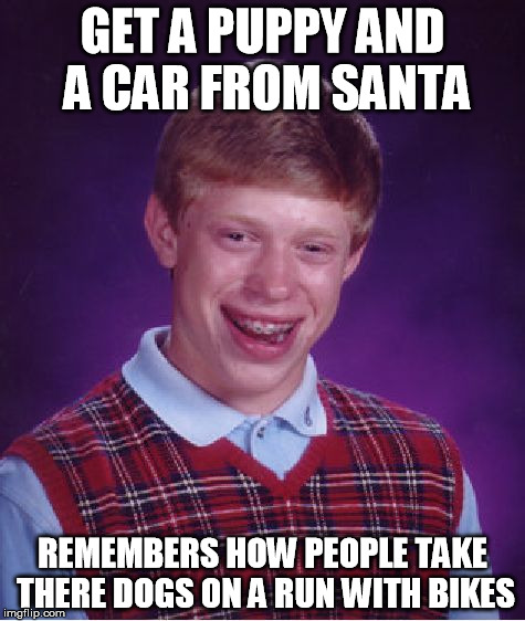 Flat santa | GET A PUPPY AND A CAR FROM SANTA; REMEMBERS HOW PEOPLE TAKE THERE DOGS ON A RUN WITH BIKES | image tagged in memes,bad luck brian | made w/ Imgflip meme maker