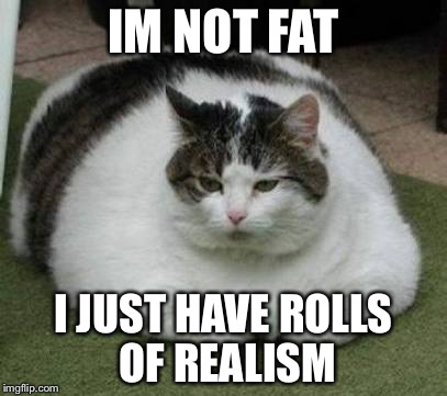 IM NOT FAT; I JUST HAVE ROLLS OF REALISM | image tagged in fat cat | made w/ Imgflip meme maker