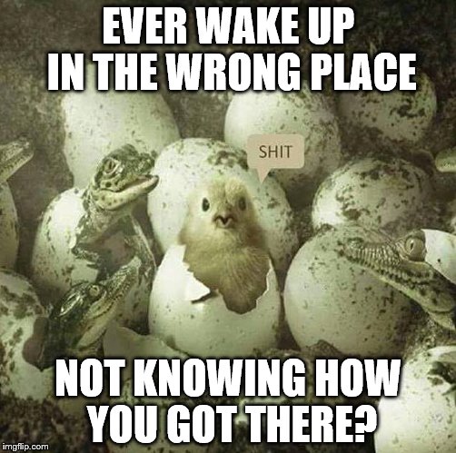 chick adopted | EVER WAKE UP IN THE WRONG PLACE; NOT KNOWING HOW YOU GOT THERE? | image tagged in chick adopted | made w/ Imgflip meme maker