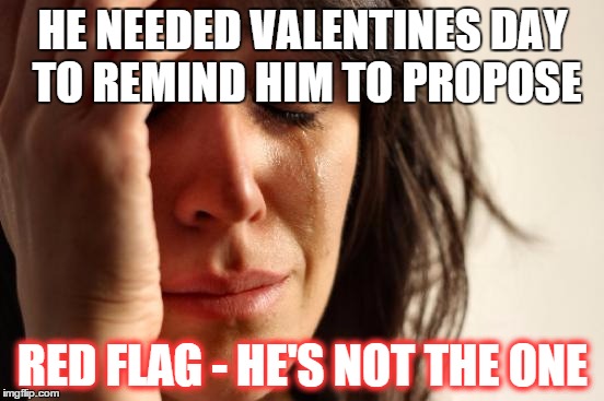 First World Problems | HE NEEDED VALENTINES DAY TO REMIND HIM TO PROPOSE; RED FLAG - HE'S NOT THE ONE | image tagged in memes,first world problems | made w/ Imgflip meme maker