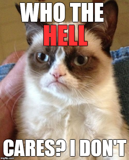 Grumpy Cat Meme | WHO THE CARES? I DON'T HELL | image tagged in memes,grumpy cat | made w/ Imgflip meme maker