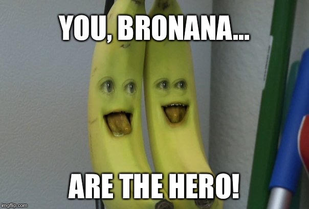 YOU, BRONANA... ARE THE HERO! | made w/ Imgflip meme maker