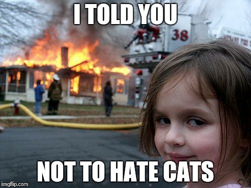 Disaster Girl Meme | I TOLD YOU NOT TO HATE CATS | image tagged in memes,disaster girl | made w/ Imgflip meme maker
