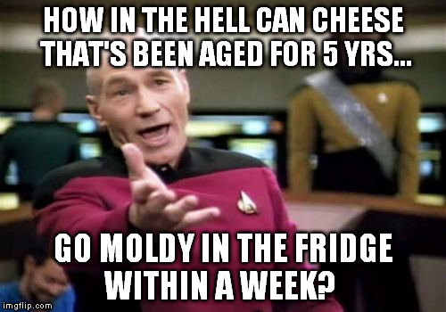 Picard Wtf | HOW IN THE HELL CAN CHEESE THAT'S BEEN AGED FOR 5 YRS... GO MOLDY IN THE FRIDGE WITHIN A WEEK? | image tagged in memes,picard wtf | made w/ Imgflip meme maker