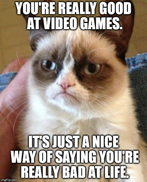 Grumpy Cat | YOU'RE REALLY GOOD AT VIDEO GAMES. IT'S JUST A NICE WAY OF SAYING YOU'RE REALLY BAD AT LIFE. | image tagged in memes,grumpy cat | made w/ Imgflip meme maker