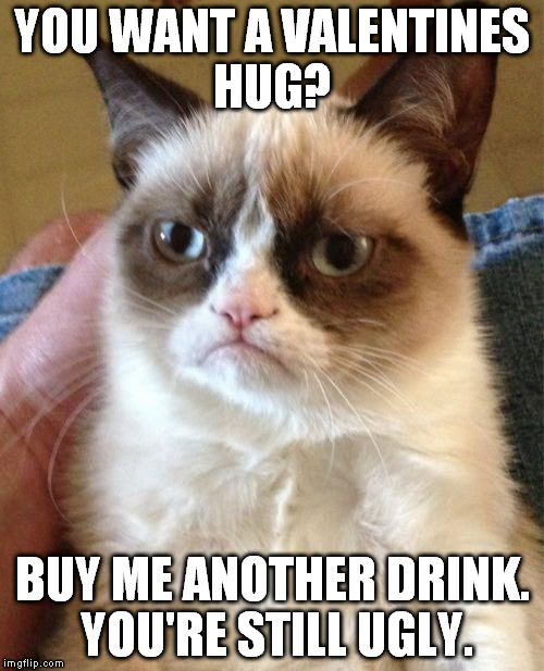 Grumpy's Valentines Day | YOU WANT A VALENTINES HUG? BUY ME ANOTHER DRINK. YOU'RE STILL UGLY. | image tagged in memes,grumpy cat | made w/ Imgflip meme maker