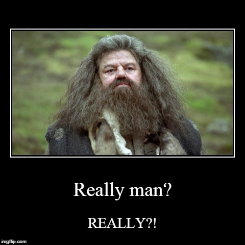 Yes really | image tagged in funny,demotivationals,really,hagrid | made w/ Imgflip demotivational maker