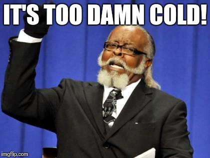 Too cold | IT'S TOO DAMN COLD! | image tagged in memes,too damn high,cold | made w/ Imgflip meme maker