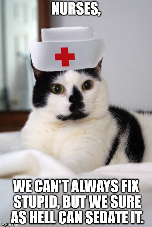 Nurse Kitty NURSES, WE CAN'T ALWAYS FIX STUPID, BUT WE SURE AS HELL CA...