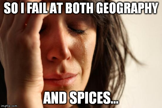 First World Problems Meme | SO I FAIL AT BOTH GEOGRAPHY AND SPICES... | image tagged in memes,first world problems | made w/ Imgflip meme maker