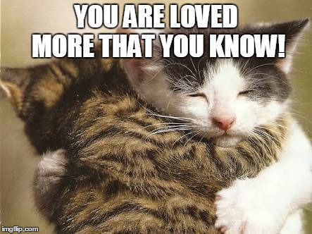 Hug cats | YOU ARE LOVED MORE THAT YOU KNOW! | image tagged in hug cats | made w/ Imgflip meme maker