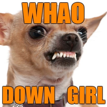 Whoa, Down Girl | WHAO; DOWN   GIRL | image tagged in funny | made w/ Imgflip meme maker