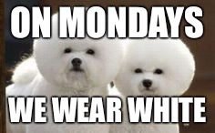 On Mondays We Wear White. | ON MONDAYS; WE WEAR WHITE | image tagged in bad pun dog | made w/ Imgflip meme maker