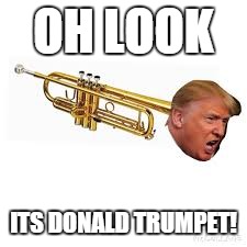 OH LOOK; ITS DONALD TRUMPET! | image tagged in donald trump | made w/ Imgflip meme maker