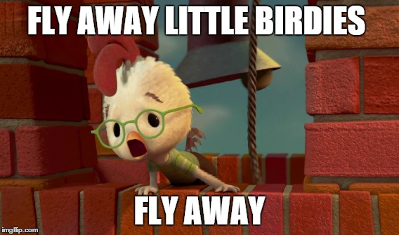 FLY AWAY LITTLE BIRDIES FLY AWAY | made w/ Imgflip meme maker