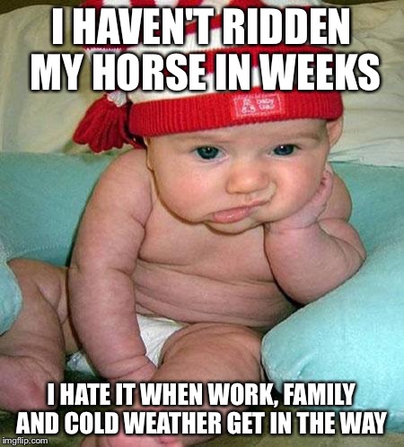Mad Baby | I HAVEN'T RIDDEN MY HORSE IN WEEKS; I HATE IT WHEN WORK, FAMILY AND COLD WEATHER GET IN THE WAY | image tagged in mad baby | made w/ Imgflip meme maker