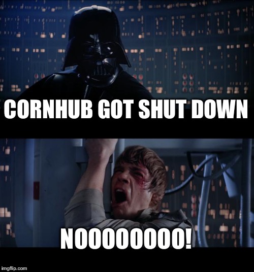 Star Wars No Meme | CORNHUB GOT SHUT DOWN; NOOOOOOOO! | image tagged in memes,star wars no | made w/ Imgflip meme maker