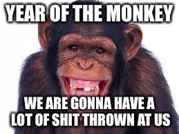 Monkeys  | YEAR OF THE MONKEY; WE ARE GONNA HAVE A LOT OF SHIT THROWN AT US | image tagged in monkeys | made w/ Imgflip meme maker